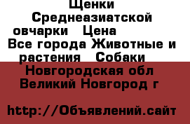 Щенки Среднеазиатской овчарки › Цена ­ 30 000 - Все города Животные и растения » Собаки   . Новгородская обл.,Великий Новгород г.